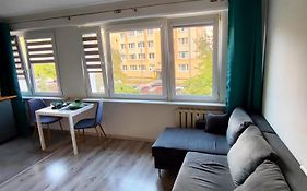 Apartament Modry